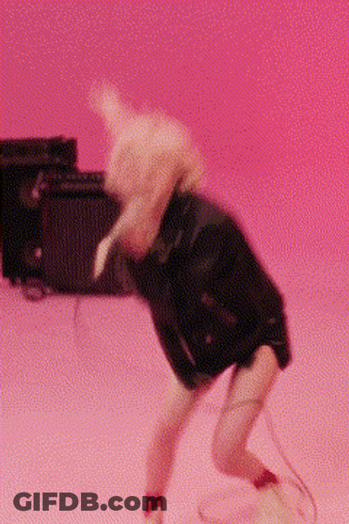 Rock And Roll Rose On Apt Song GIF