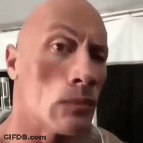 Rock Eyebrow GIF