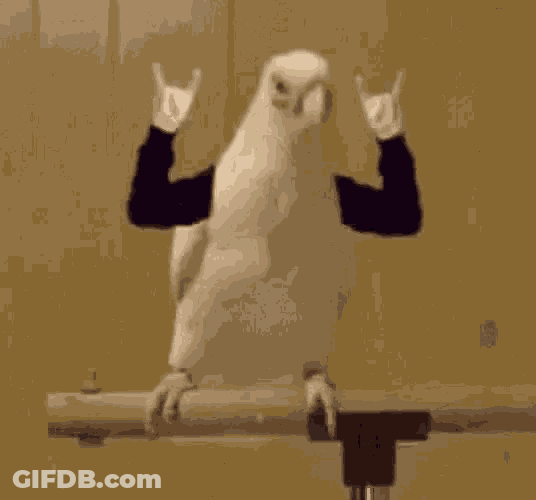 Rock N Roll Bird GIF