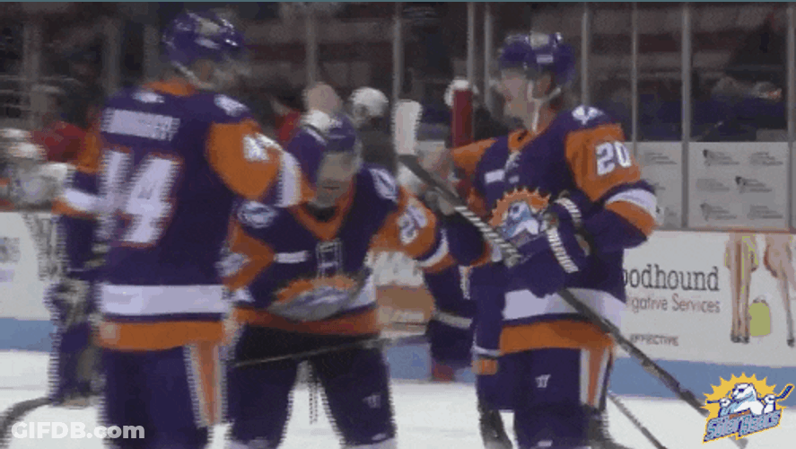 Rock Paper Scissors Orlando Solar Bears GIF