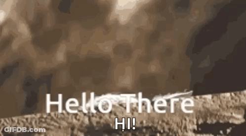 Rock Saying Hello There Hi GIF