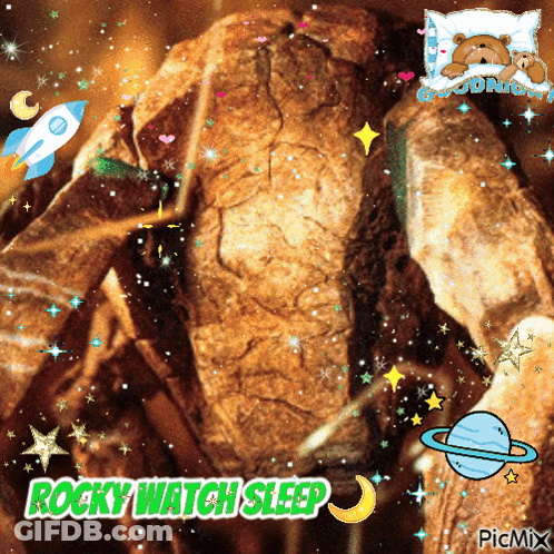 Rock Saying Rocky Watch Sleep GIF