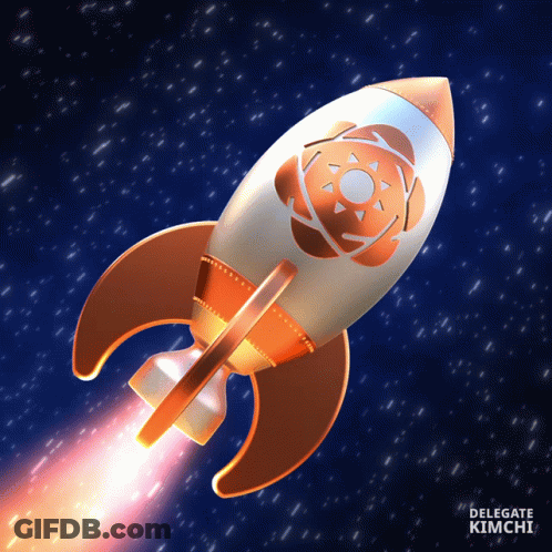 Rocket Delegate Kimchi GIF