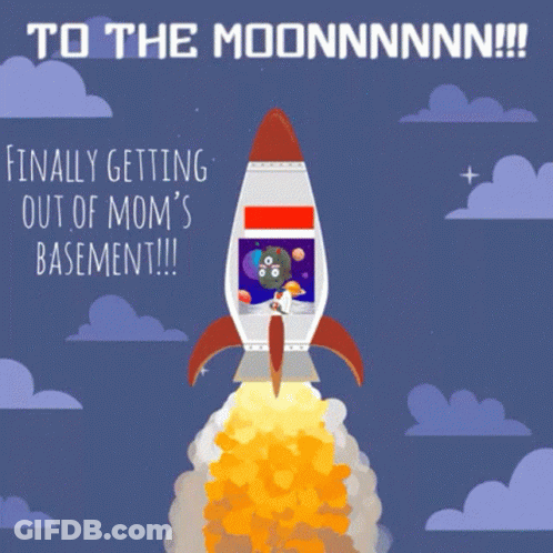 Rocket Finally Getting Out Of Mom's Basement GIF