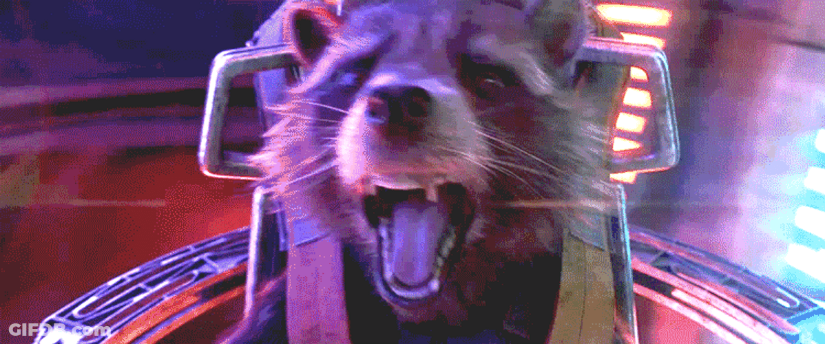 Rocket Is Freaking Out GIF