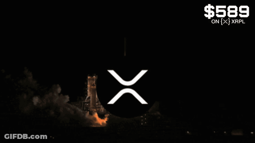 Rocket Launching With $589 Price GIF