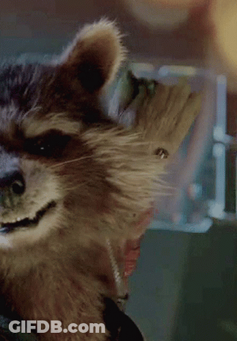 Rocket Raccoon Carrying Baby Groot GIF