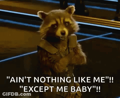 Rocket Raccoon Except Me GIF