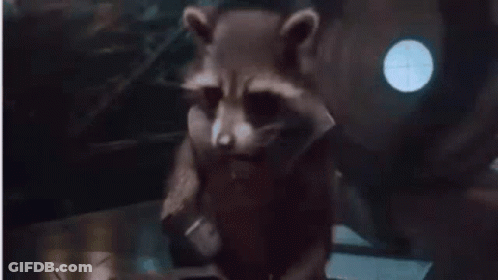 Rocket Raccoon From Guardians Of The Galaxy Is Saying `` You Take The Fun Out Of Life !! '' GIF