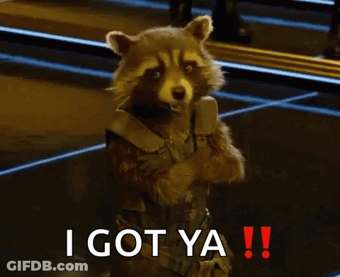 Rocket Raccoon From Guardians Of The Galaxy Is Standing With His Arms Crossed And Says `` I Got Ya !! '' . GIF