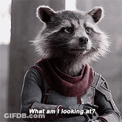 Rocket Raccoon From Guardians Of The Galaxy Is Wearing Armor And A Scarf And Asking What Am I Looking At . GIF