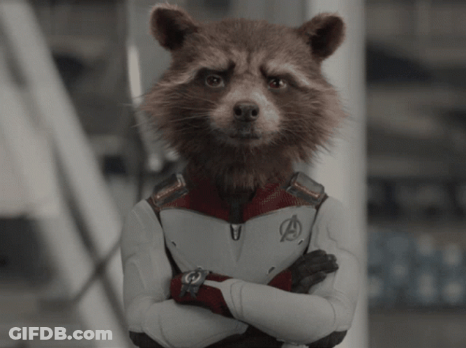 Rocket Racoon Marvels Talking GIF
