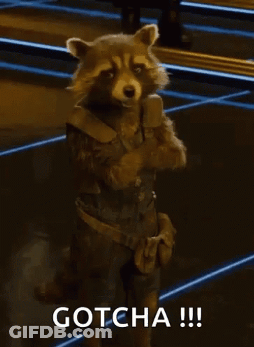 Rocket Racoon Smiling Gotcha GIF