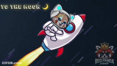 Rocket Rps Space Rocket GIF