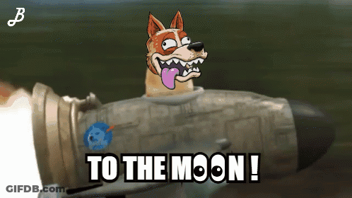 Rocket To The Moon GIF