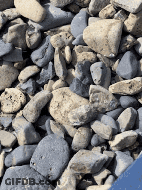 Rocks Beach GIF