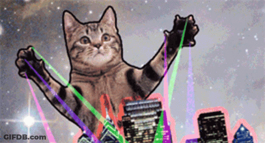 Rockstar Cat Party Galaxy GIF