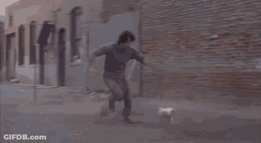 Rocky Catching Chicken GIF