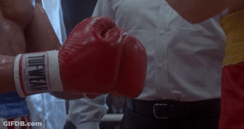 Rocky Dolph Lundgren Touch Gloves GIF