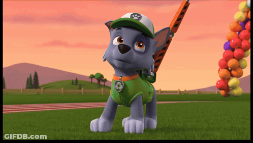 Rocky From PAW Patrol Standing In Field With Balloons GIF