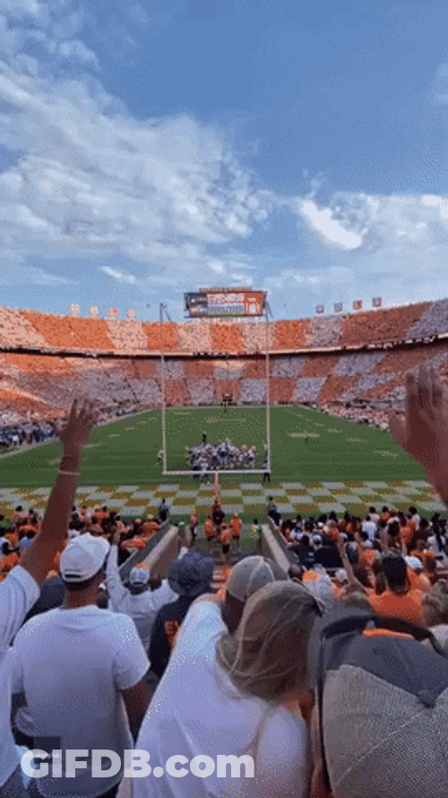 Rocky Top Fan Catches Ball GIF