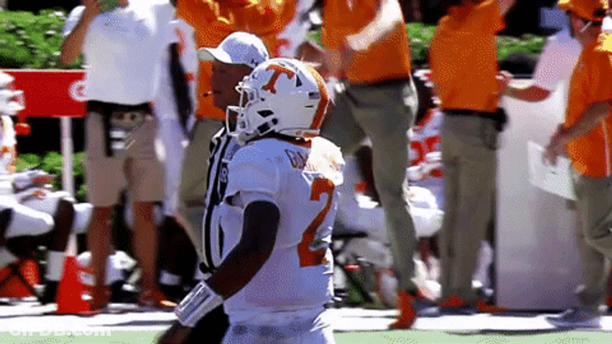 Rocky Top Player Walking Head Up GIF