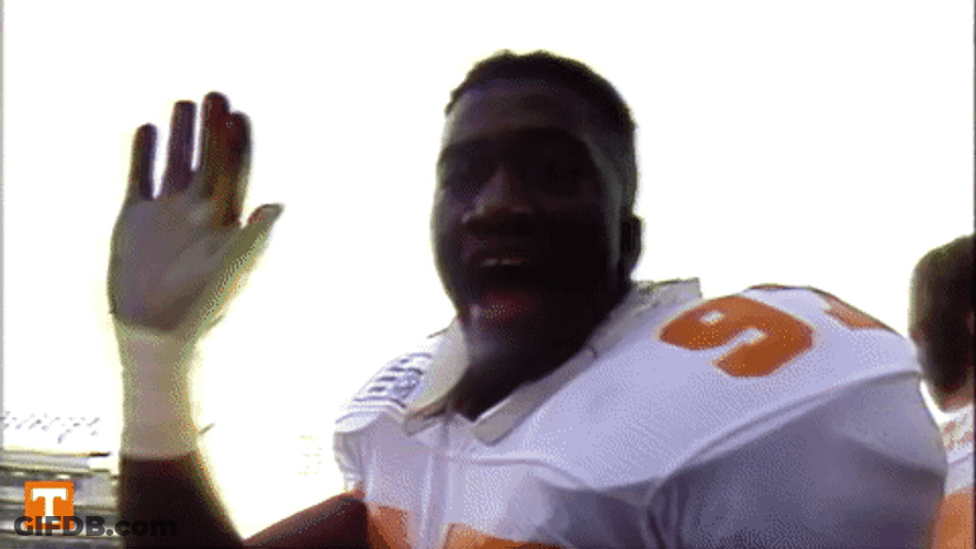 Rocky Top Waving Happily On Camera GIF