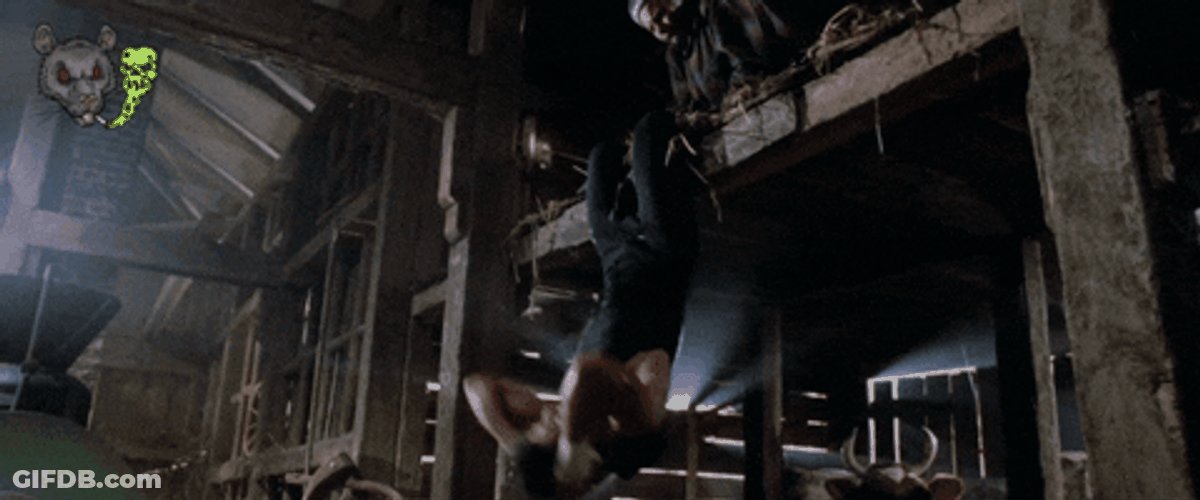 Rocky Training Hanging Upside Down GIF