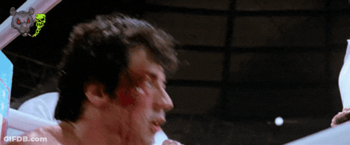 Rocky Training Sylvester Stallone Fight Night GIF