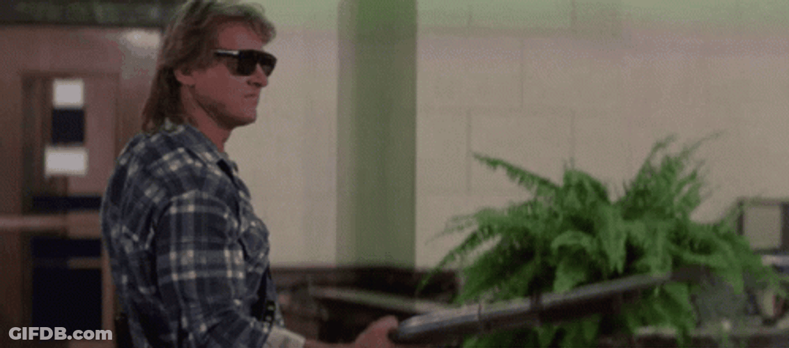 Roddy Piper Legacy In They Live Horror GIF