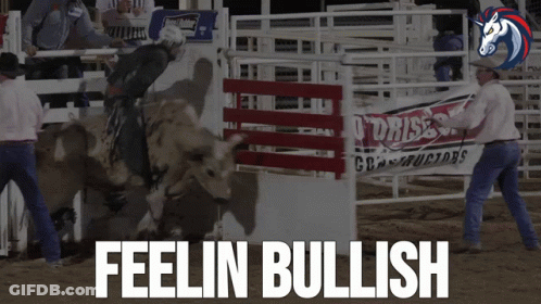 Rodeo Man Riding Bull Feelin Bullish GIF
