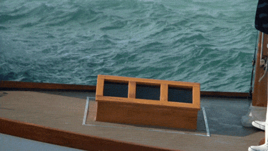 Rodney Dangerfield Anchor GIF