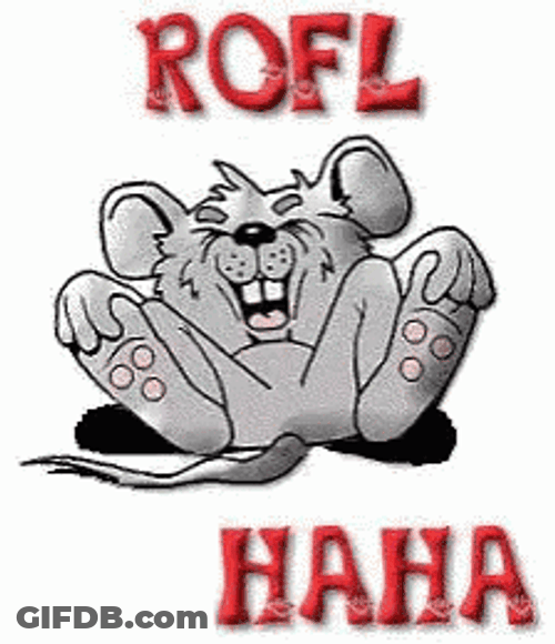 Rofl Cartoon Mouse GIF