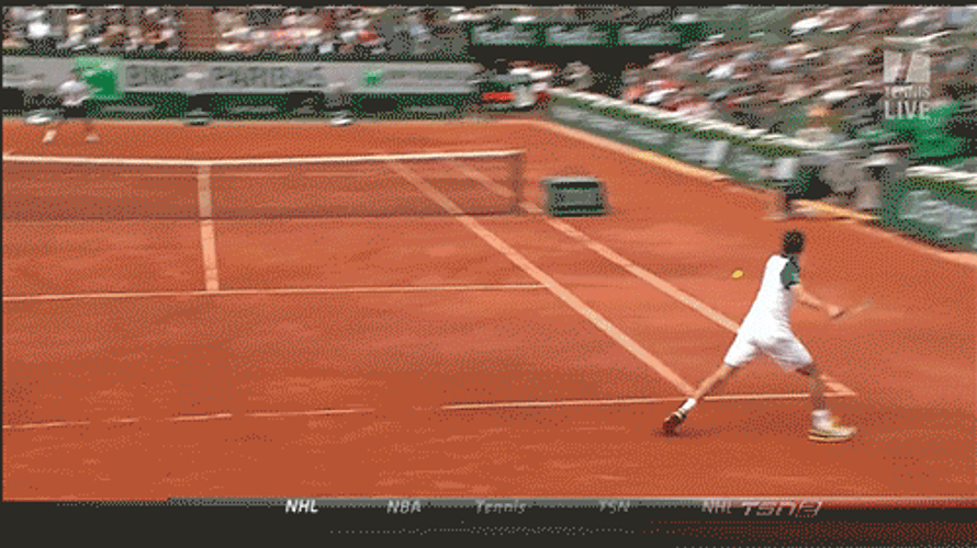 Roger Federer Losing A Point GIF