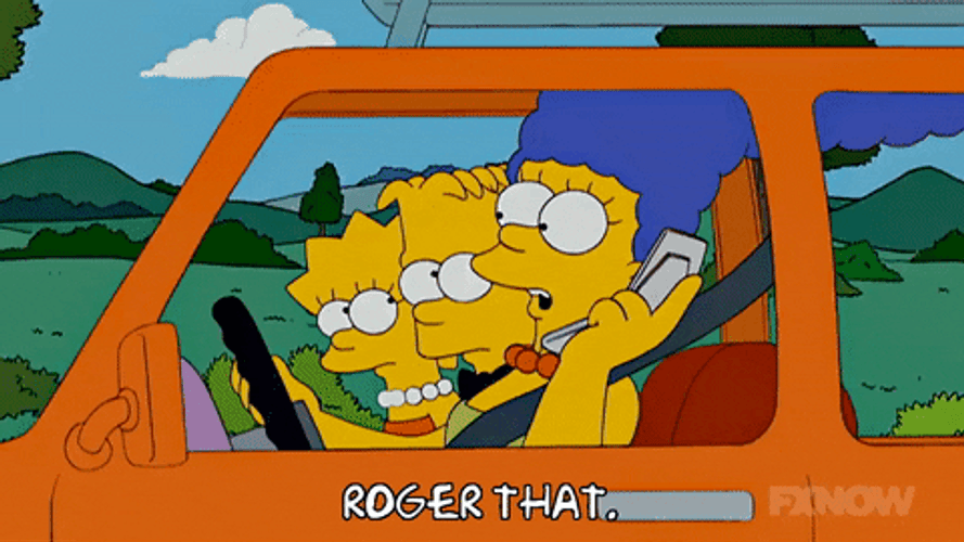 Roger Roger Drive The Simpsons GIF