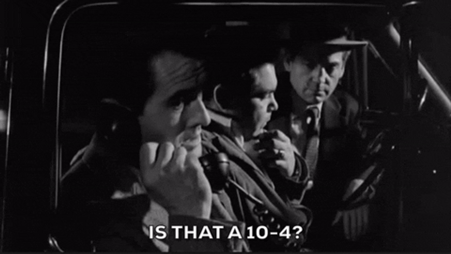 Roger Roger Stakeout On Dope Street GIF