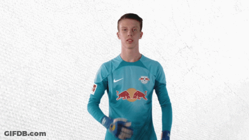 Roll Timo Schlieck GIF