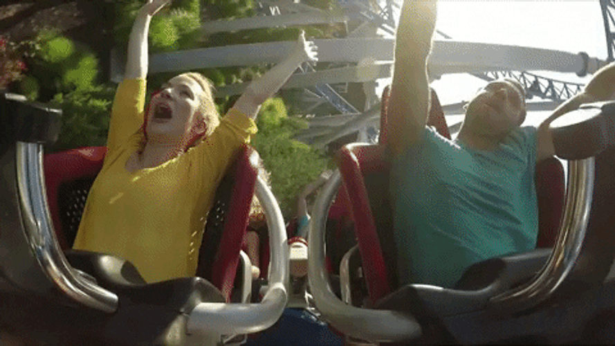 Roller Coaster Fun Loop Scream GIF