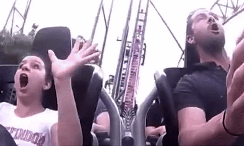 Roller Coaster Ride Thrill Scream GIF