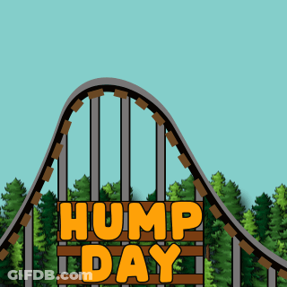 Roller Coaster With Moose And Hump Day GIF