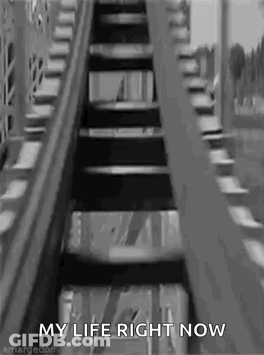 Roller Coaster With My Life Right Now GIF