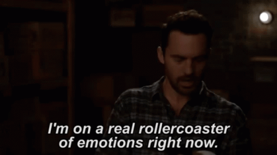 Rollercoaster Of Emotions Right Now GIF