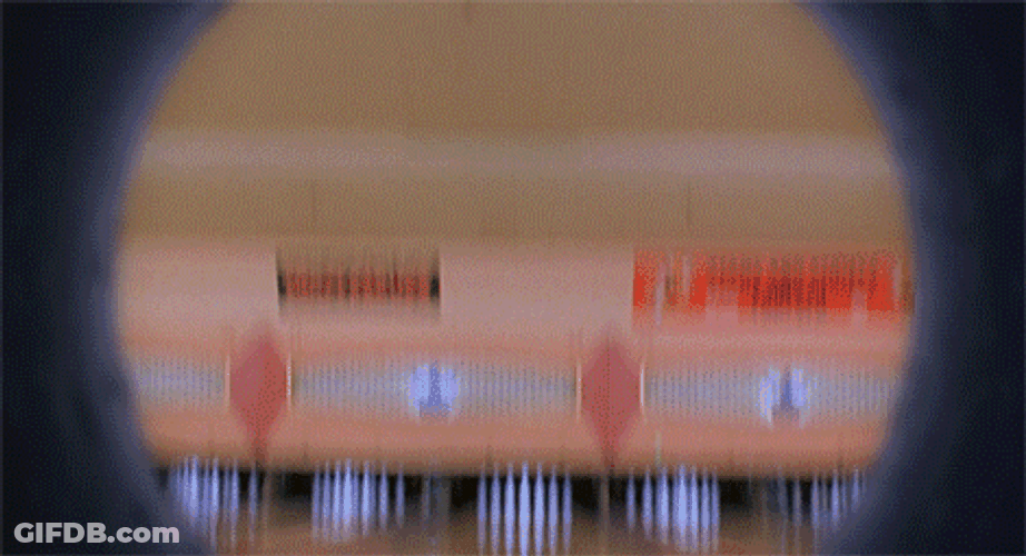 Rolling Bowling Bowl POV GIF