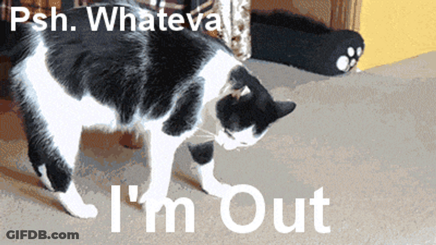 Rolling Cat Head Out GIF