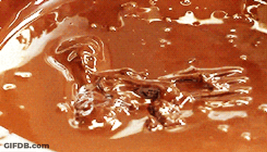 Rolling Chocolate Bites On Various Toppings GIF