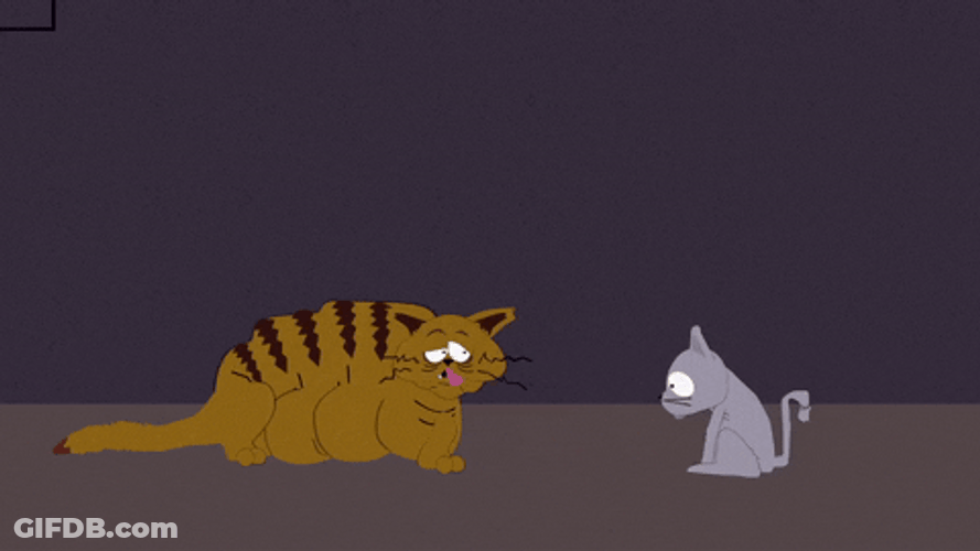 Rolling Mr Kitty South Park GIF