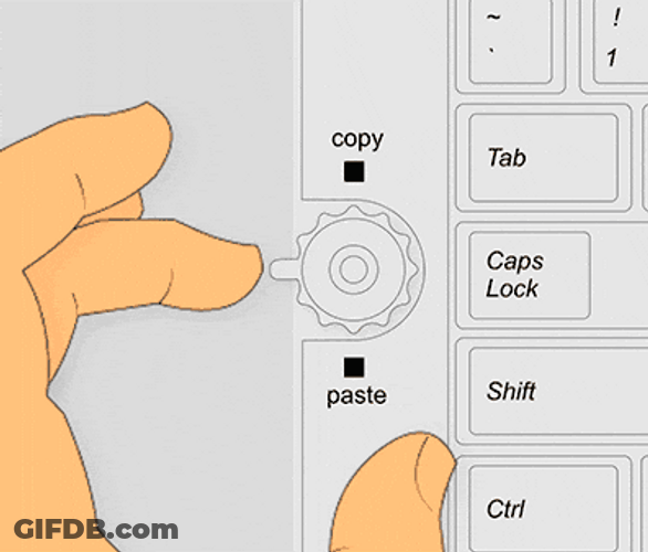 Rolling On The Copy Button GIF