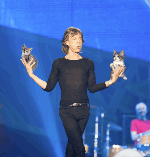 Rolling Stones Mick Jagger Holding Kitties GIF