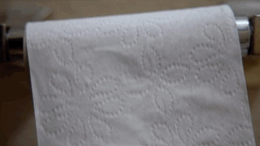 Rolling Tissue That's All Folks GIF