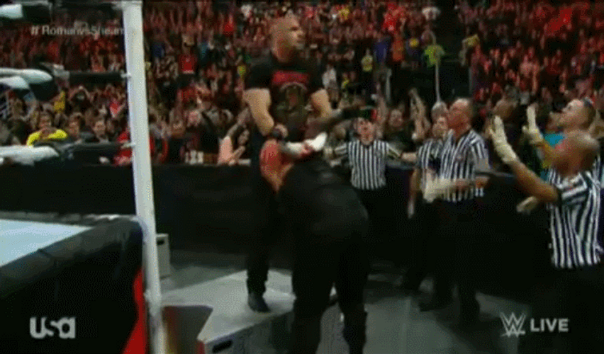 Roman Reigns Knocked Out Bloody GIF